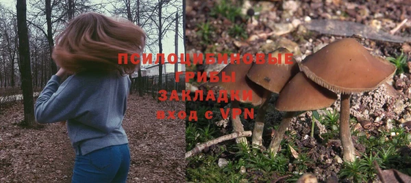 твердый Елизово