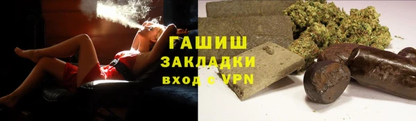 гидра Елабуга