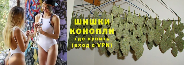 ПСИЛОЦИБИНОВЫЕ ГРИБЫ Зеленодольск