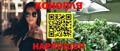 прущие грибы Северобайкальск