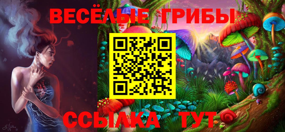 Галлюциногенные грибы Psilocybe Стерлитамак